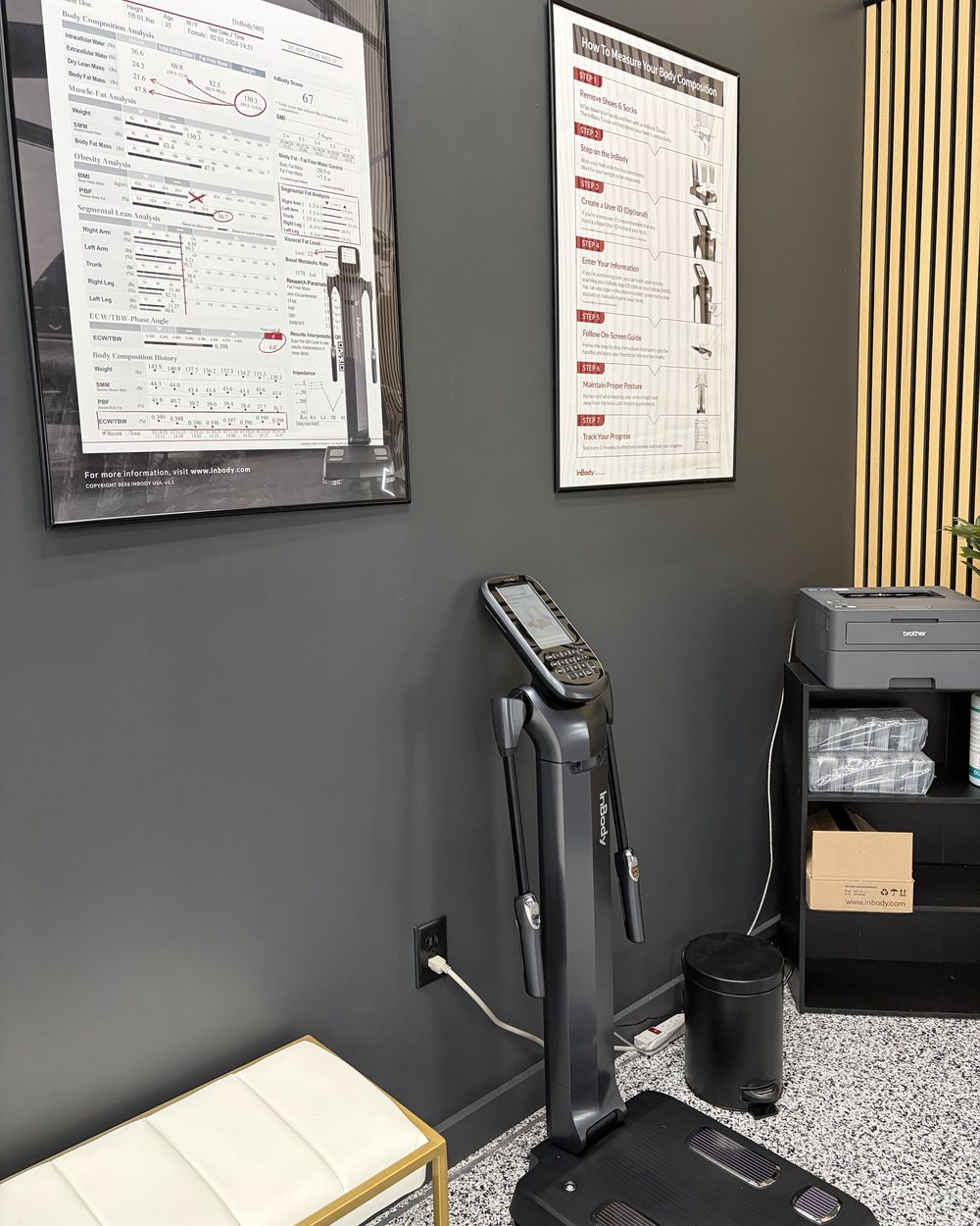 InBody body composition scanner at Fit Factory Supplements